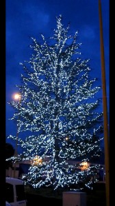 Abete illuminato CIS di Nola