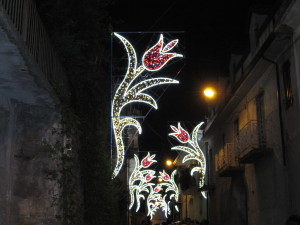 Corso con fiori sfalsati