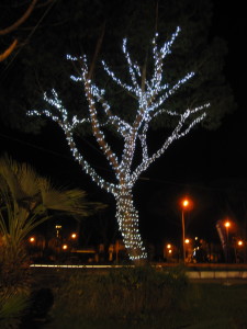 Pino illuminato