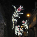 Corso con fiori sfalsati